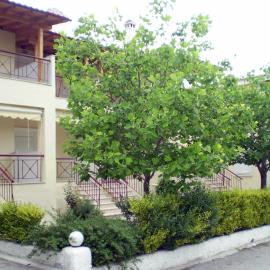 Siviri Rental Houses, ξενοδοχείο στη Σίβηρη