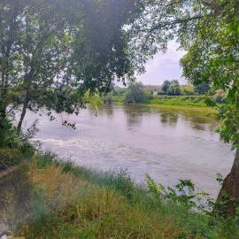 Le gite de l'ile du Buzet