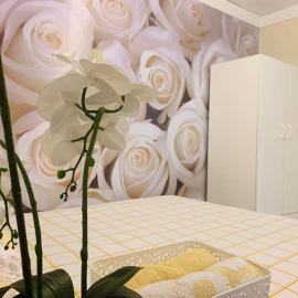 Nice room less Pay near Port Adelaide, hotel in Rosewater