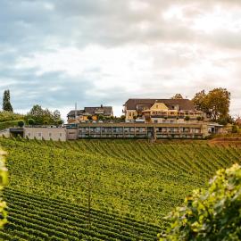 Weinrefugium Brolli, hotel Gamlitzban