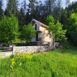 Cottage in nature of Cetinje, hotel in Cetinje