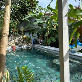 Casa Sophia 3 listings Apartment 1 or Apartment 2 separately or Apt 1 and 2 together all with FO internet, hotel u gradu 'Guápiles'