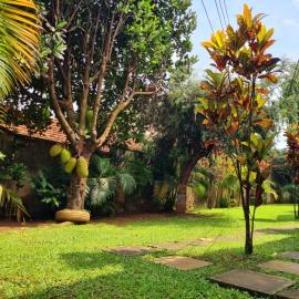 Tgs Homestay Nest