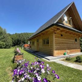 Chatka z jacuzzi przy lesie Roztocze Szewnia Dolna 74 22-442
