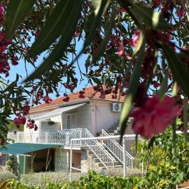 Korčula Guest House