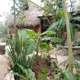 Camping Rancho El Tauro, hotel Macario Gomezben