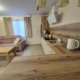 Apartament AMETYST、Zastańのホテル