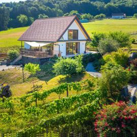 Villa Elisabeth, hotel a Ratsch an der Weinstrasse