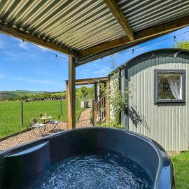 Daisy Shepherds Hut, hotel in North Molton