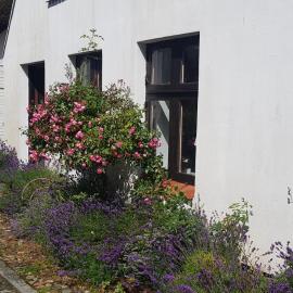 Fischerstern, hotell i Maasholm