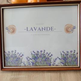 Le clos des Romarins Gîte Lavande