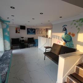 Gelibolu Elisa Hotel, hotel din Gelibolu