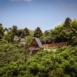 Cozy Cottage In Makhindjauri with Forest and Sea Views, hotel in Makhinjauri