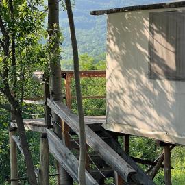 Mesteceni Glamping, hotel v destinácii Nistoreşti