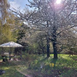 Der Konikhof, Natur, Ruhe, R-Auszeit