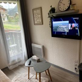 Studio cabine au pied des pistes
