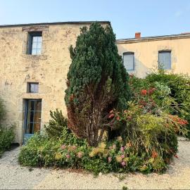 Gîte de charme - 30 min de la Mer & Puy du Fo, hotel in Belleville-sur-Vie