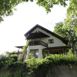 Casa Mariei - Vila Breaza