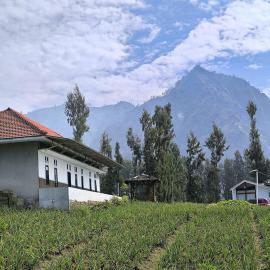 Elen Homestay by ABM