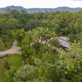 Daintree Siesta, Hotel in Daintree