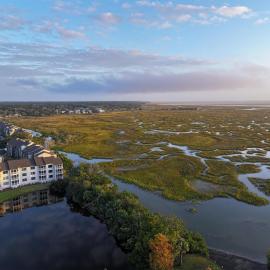 Sea Palms Resort St Simons Island, hotel in Saint Simons Island