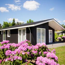 Chalet in Netherlands by Scenic Pond, hotelli kohteessa Veldhoven