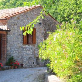 Apartment in Montieri - Toskana 38264