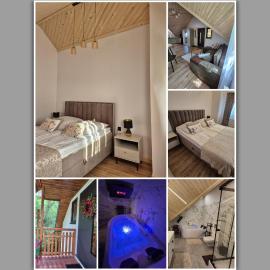 Apartament z prywatną wanną z hydromasażem - U Parów