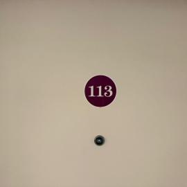 Fortuna 113