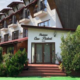 Pensiunea Casa Padurii, hôtel à Văleni