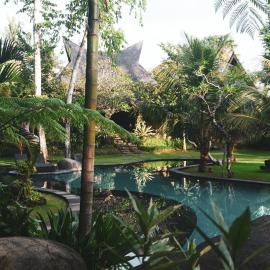 Green Tree House Villa Ubud