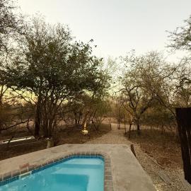 Veni Vidi Amavi Luxury Safari Treehouse Modern Luxe with Private Pool Deck No Neighbours Fence Facing