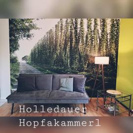 볼른차흐에 위치한 호텔 Holledauer Hopfakammerl