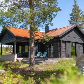 The Lazy Moose, hotel in Tällberg