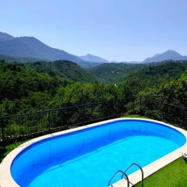 Dalmatian Green Peak