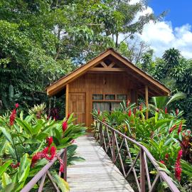 La Fortuna Natural Green