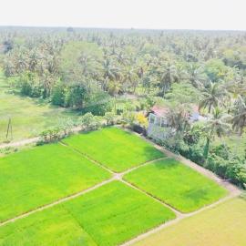 Wela addara, hotel sa Bingiriya