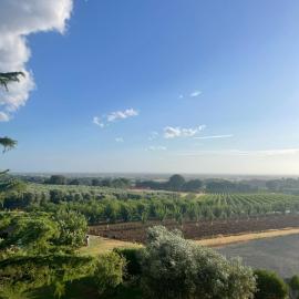 Appartamento Villa Caprareccia, מלון בביבונה