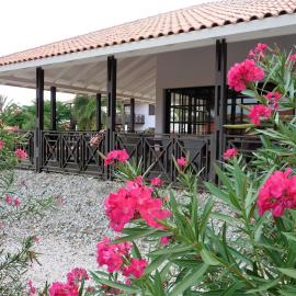 Blue Bay Beach Villa 14