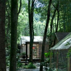 景德镇树园心舍民宿JDZ Forest Haven B&B, Hotel in Jingdezhen