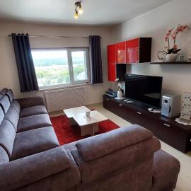 Apartment Svoboda