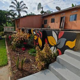 Eco Cribs