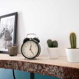 Bel appartement - Paris Choisy Orly - Jardin, hotel in Choisy-le-Roi