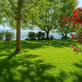 International Glamping Lago Di Bracciano – hotel w mieście Trevignano Romano