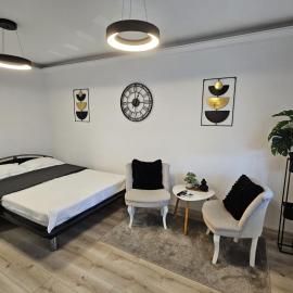 Radu's Room, hotel a Curtea de Argeş