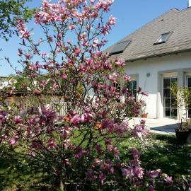 Ferienwohnung Heider