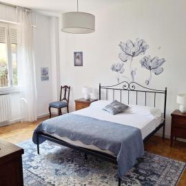 The Lily Home