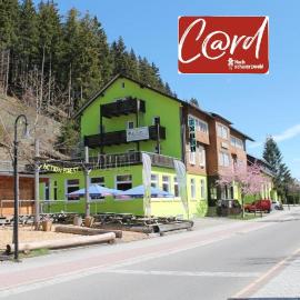 Action Forest Hotel - Kletterwald - Lasertag - nähe Badeparadies, hotel u gradu Titize-Nojštat