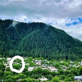 zeiko s guesthouse