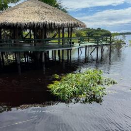 Amazônia LODGE Exxperience, hotel em Cajual
